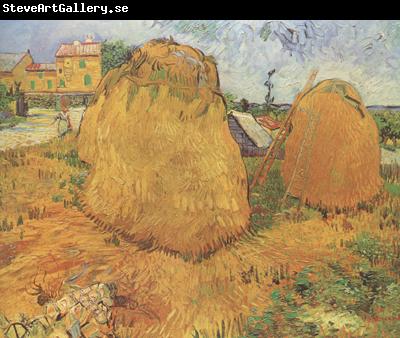 Vincent Van Gogh Haystacks in Provence (nn04)